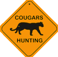 cougars seeking cubs